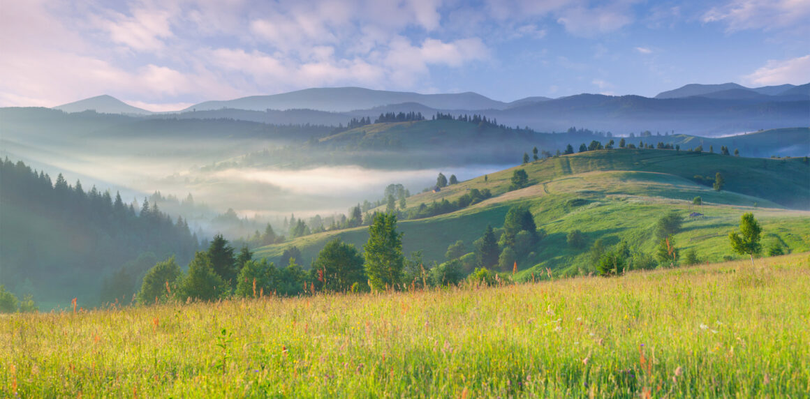 6 Ways You Can Eat Better