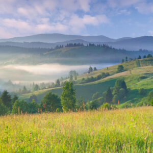 shutterstock_118336516_rev 6 Ways You Can Eat Better